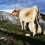 Ca Del Parco * Montebelluna
