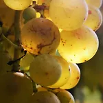 Ca Del Parco