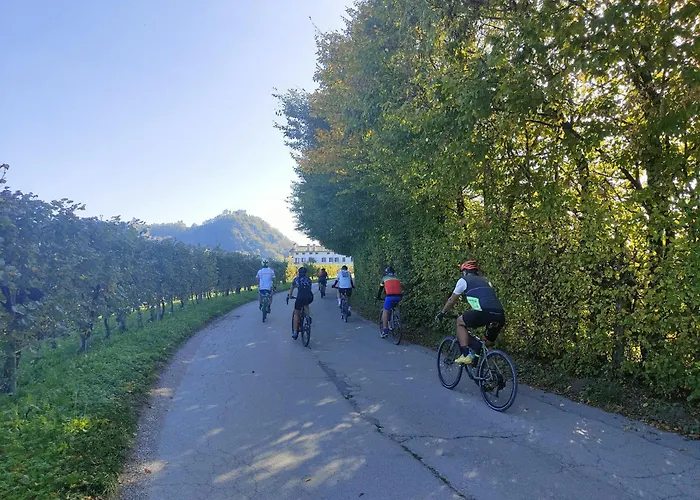 Appartamento Ca Del Parco Montebelluna