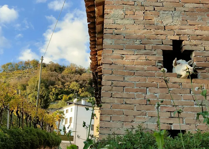 Ca Del Parco Montebelluna