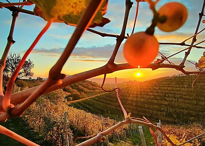 Ca Del Parco Appartamento