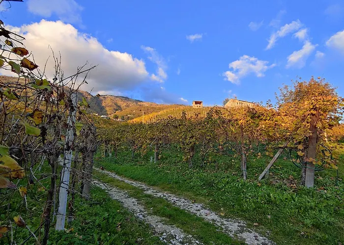 Ca Del Parco Appartamento Montebelluna