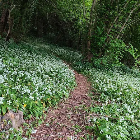 Ca Del Parco Lägenhet