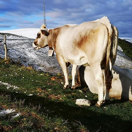 Ca Del Parco * Montebelluna
