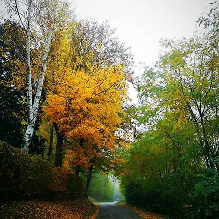 Ca Del Parco Apartment *