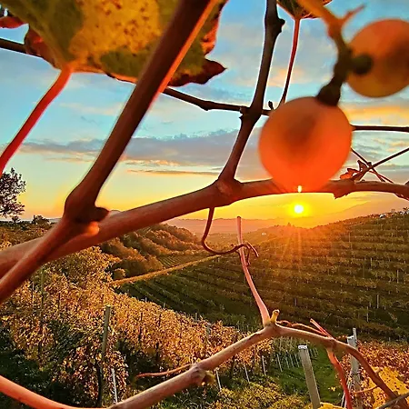 Ca Del Parco Apartament