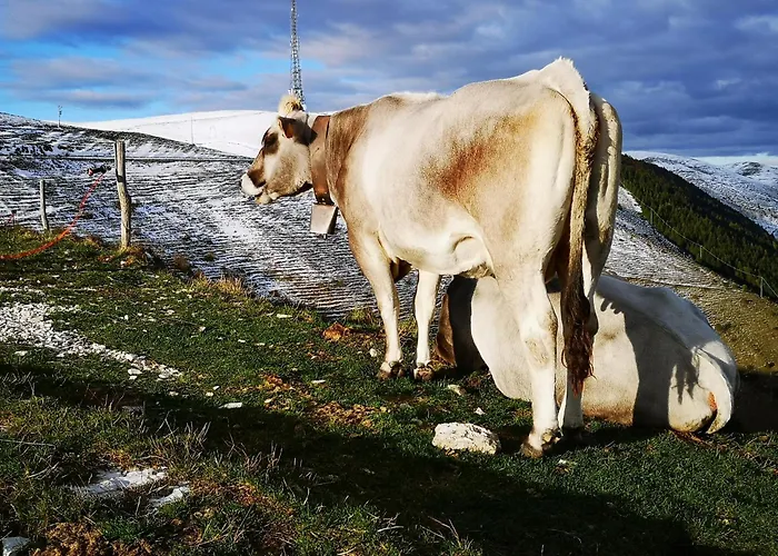 Ca Del Parco * Montebelluna